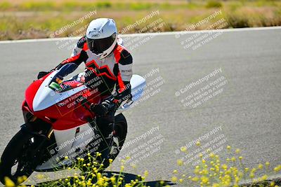 media/May-10-2024-2WTD (Fri) [[c88d7990af]]/Group C/Session 2-The Bowl/